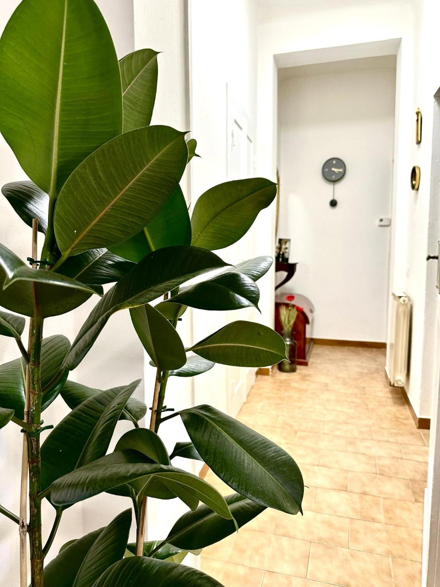 Casa Ganza Villa Pisa Bagian luar foto